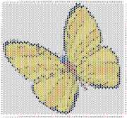 pattern Animals Butterflies