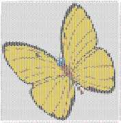 pattern Animals Butterflies