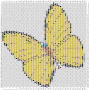pattern Animals Butterflies