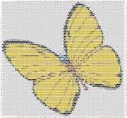 pattern Animals Butterflies