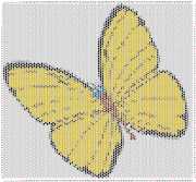 pattern Animals Butterflies