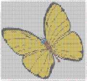 pattern Animals Butterflies