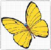 pattern Animals Butterflies