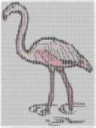 pattern Animals Flamingo
