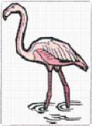 pattern Animals Flamingo