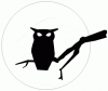 image  Animals Birds