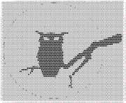 pattern Animals Birds