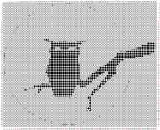 pattern Animals Birds