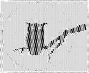 pattern Animals Birds