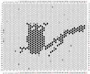 pattern Animals Birds