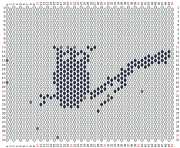 pattern Animals Birds