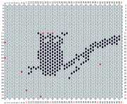 pattern Animals Birds