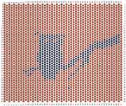 pattern Animals Birds