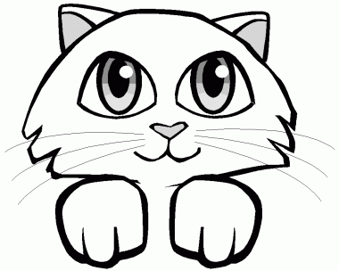 image Animals Cats