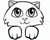 image  Animals Cats