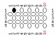 pattern Animals Cats