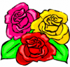 image  Plants Roses