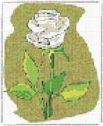 pattern Plants Roses
