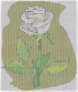 pattern Plants Roses