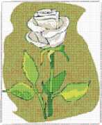 pattern Plants Roses