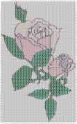 pattern Plants Flowers