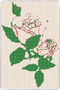 pattern Plants Flowers