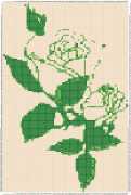 pattern Plants Flowers