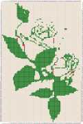 pattern Plants Flowers