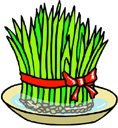 image Plants Vegetables