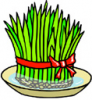 image  Plants Vegetables