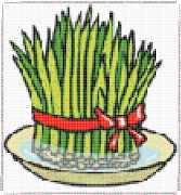 pattern Plants Vegetables