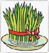 pattern Plants Vegetables