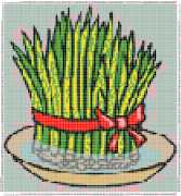 pattern Plants Vegetables