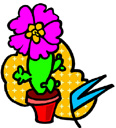 image Plants Cactuses