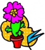 image  Plants Cactuses