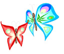 image Animals Butterflies