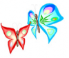 image  Animals Butterflies