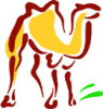 image  Animals Camels