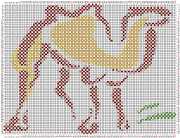 pattern Animals Camels
