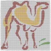 pattern Animals Camels