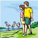image Animals Birds People Men Women