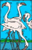 image  Animals 