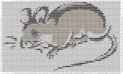 pattern Animals Mice
