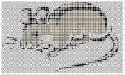 pattern Animals Mice