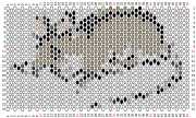 pattern Animals Mice