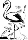 image Animals Flamingo