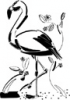 image  Animals Flamingo