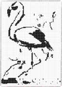 pattern Animals Flamingo