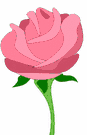 image Plants Roses