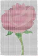 pattern Plants Roses